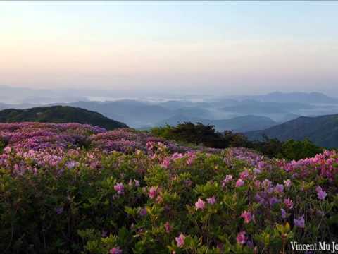 U zelenoj travi - Stari Rovnovčani 1968.