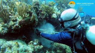 Sunday Church underwater