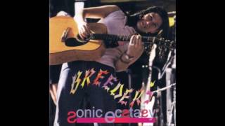 The Breeders-Sonic Ecstasy