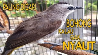 Download lagu PALING DICARI !! Hitungan Detik Trucukan Jenis Apapun Dijamin Pasti Langsung EMOSI NYAUT Dengar Ini mp3 Download lagu PALING DICARI !! Hitungan Detik Trucukan Jenis Apapun Dijamin Pasti Langsung EMOSI NYAUT Dengar Ini mp3