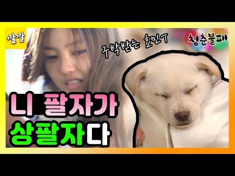 [청춘불패 시즌1] #14-1 니팔자가 상팔자다…. 개목욕 시키다 구박받는 신데렐라 효민 ㅠ-ㅠ
