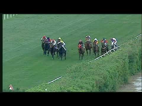 Napoli Galoppo 29/11/2022 - 5ª corsa