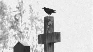 Sopor Aeternus - Freitod-Phantasien (instrumental)