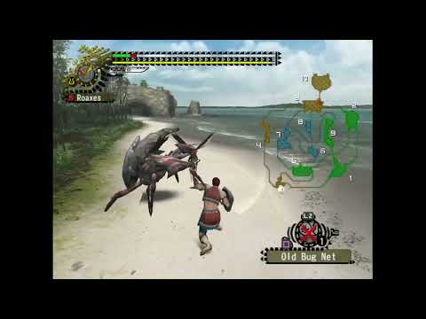Monster Hunter 2 scares me