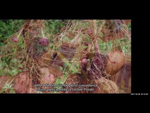 2017 10 04 PM Public Teaching in Romanian - Cursuri publice în română