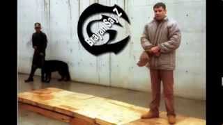 Cartel De Santa   El Chapo Es Capturado 2014