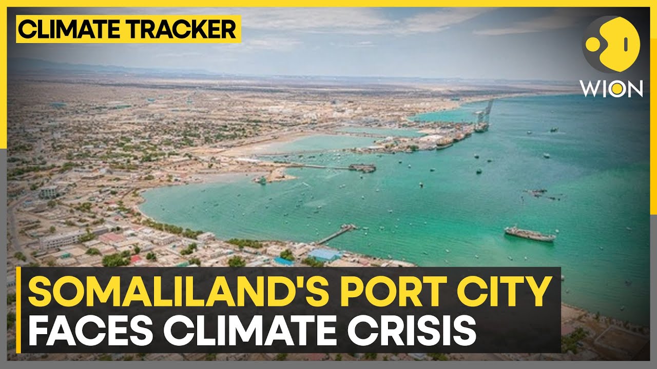 Climate Change and Its Impact on Fisheries | WION Climate Tracker