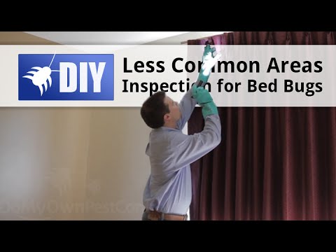  Bed Bug Inspect Step 2 Major Pest Guide Video 