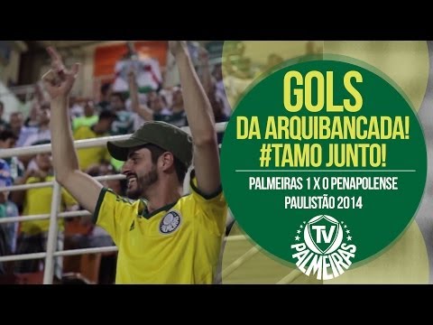 Gol da arquibancada! Palmeiras 1 x 0 Penapolense - Paulistão 2014