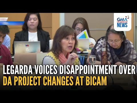 Legarda voices disappointment over DA project changes at Bicam | GMA Integrated News