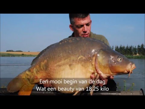 download lagu mp3 mp4 Noire Fontaine, download lagu Noire Fontaine gratis, unduh video klip Noire Fontaine