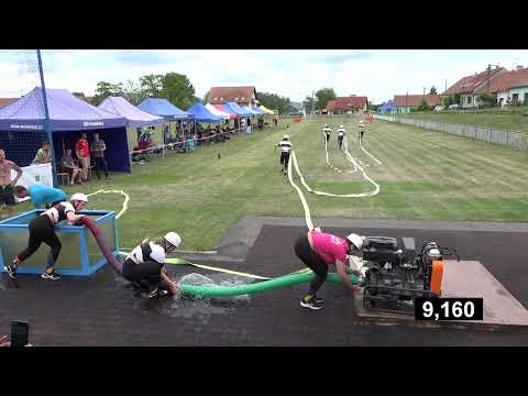 Tvrdonice_dorost v Pasohlávkách 2022 (první pokus)