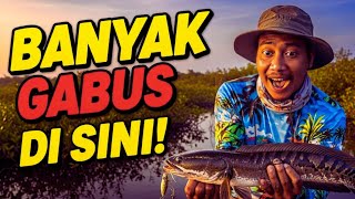 Download lagu Ciri-Ciri Tempat yang Banyak Ikan Gabus, Dijamin Auto Strike! #tipsmancing #mancinggabus mp3 Download lagu Ciri-Ciri Tempat yang Banyak Ikan Gabus, Dijamin Auto Strike! #tipsmancing #mancinggabus mp3