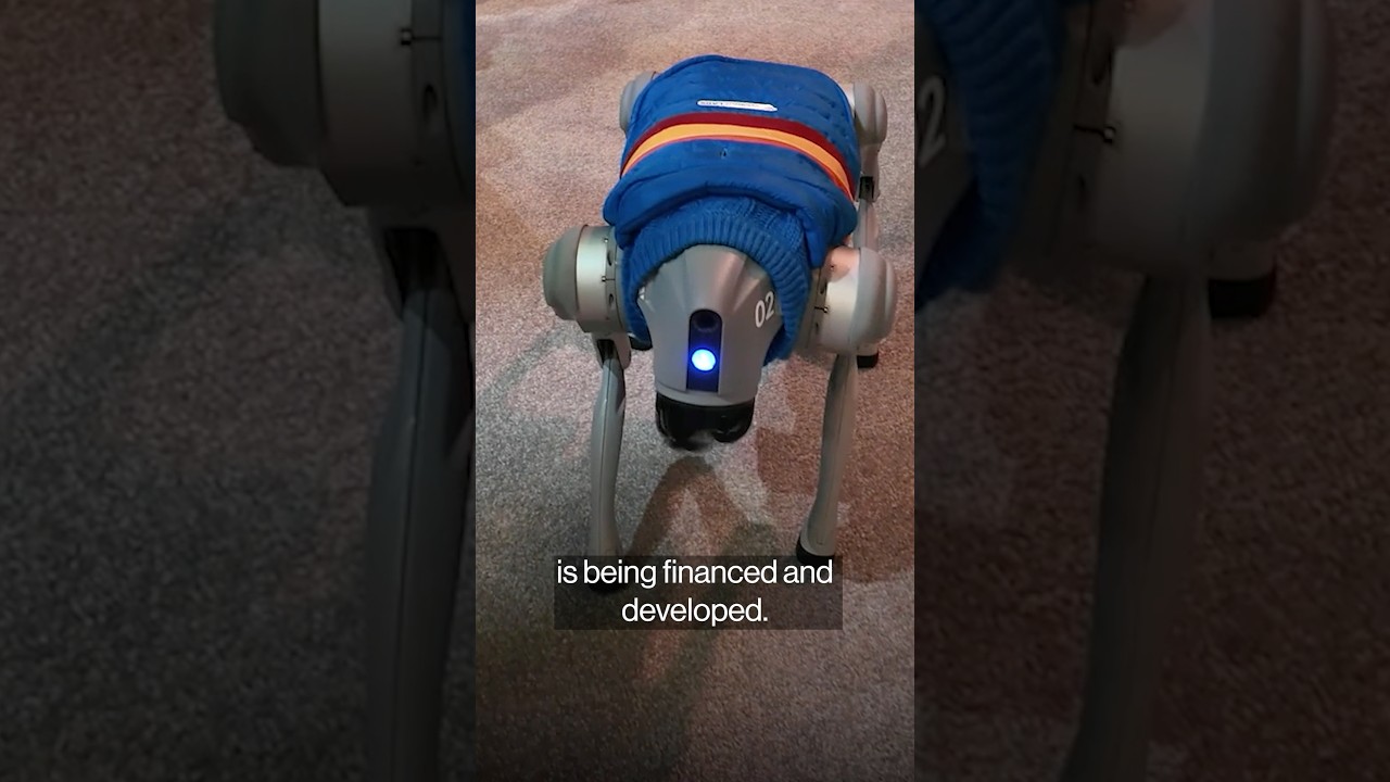 Wall Street isn’t asking most S&P 500 companies about AI