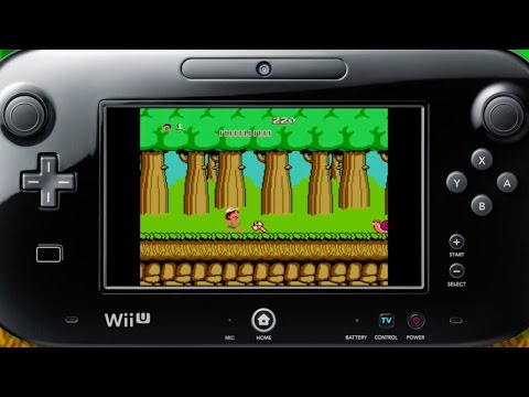 New Adventure Island Wii