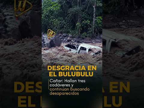 Desgracia en el Bulubulu