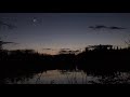 Peepers and Geese on Beaver Pond in the Evening