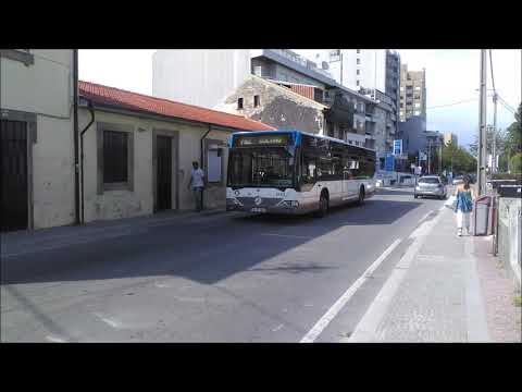 2164 STCP - 305 (audio recording)