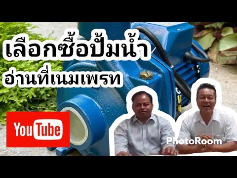 ธ อร์ค้อนคิดเห็นของคาซัคสถาน ที่จะซื้อเชื้อโรคม้าใน Permian