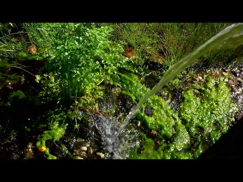 Senda del Arcipreste de Hita (Parque Natural Sierra Norte de Guadarrama - Segovia)