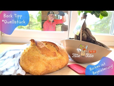 Was ist ein Quellstück? Warum du Körner, Saaten, Kerne und Nüsse vor dem Backen einweichen solltest