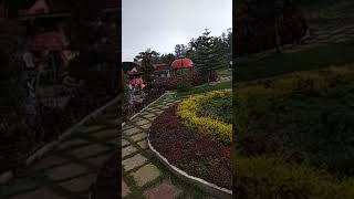 preview picture of video 'Di kebun strawberry, Purbalingga Jawa Tengah'