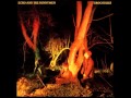 Echo and the Bunnymen - Simple Stuff