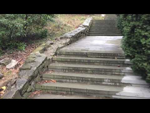 в Массандровском парке