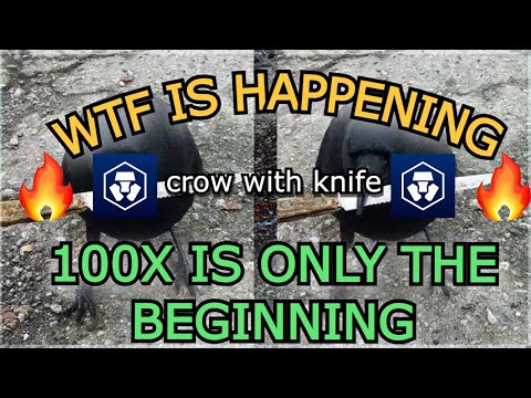 WTF IS HAPPENING! - CROW WITH KNIFE $ CAW - LISTED ON CRYPTO.COM! 1000x MEME COIN 