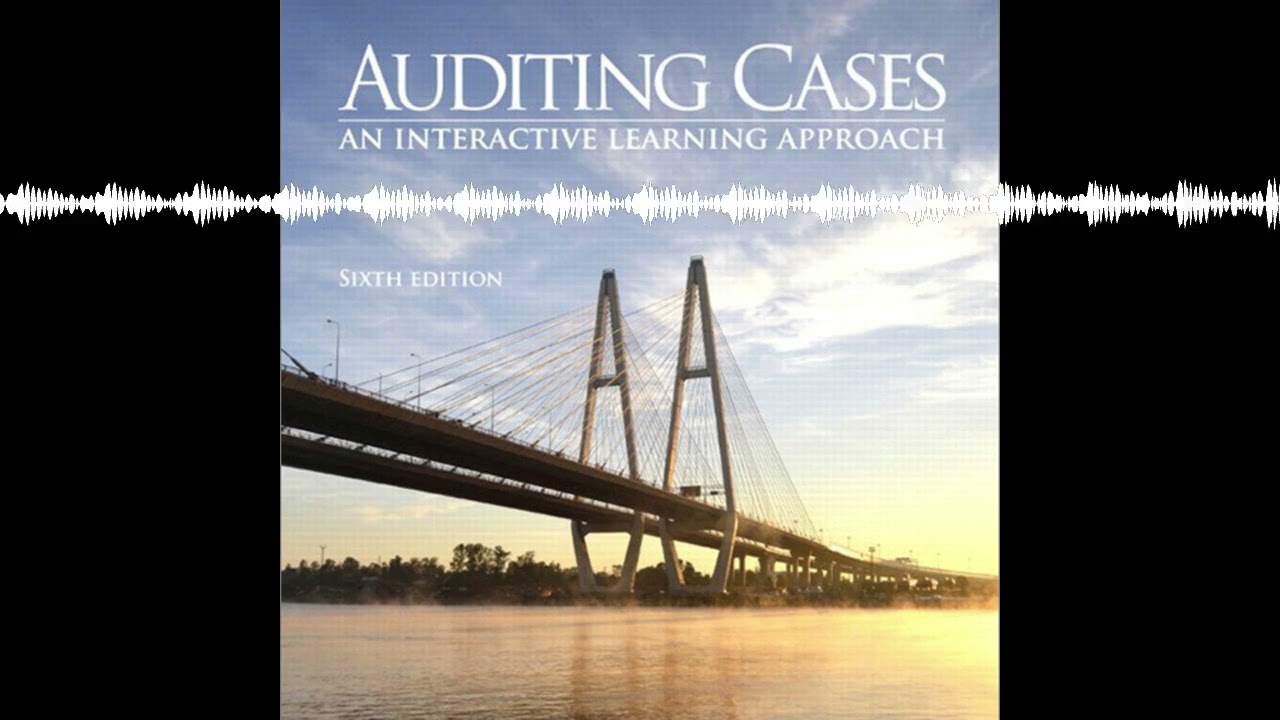Auditing Cases: An Interactive Learning Approach