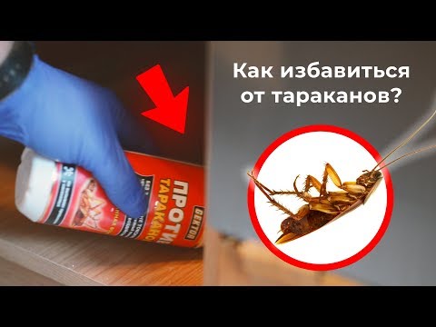 Как избавиться от тараканов в квартире средством GEKTOR