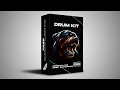 FREE TRAP DRUM KIT 𝟱𝟬𝟬 𝗗𝗿𝘂𝗺𝘀 Essentials Trap Drill Plugg