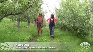 preview picture of video 'Meet Our Producers: River Valley Organics - Lapin cherries'