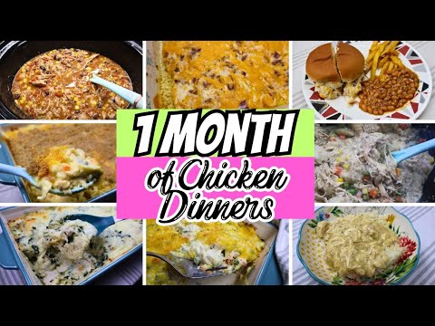 20 AMAZING Chicken Dinners | Easy Recipes for a Large family  | Frugal Meal Ideas
