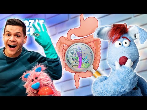 Wie funktioniert die Verdauung? l WOOZLE GOOZLE