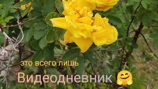 Ломки, переход, история с зубами и боль в ноге...