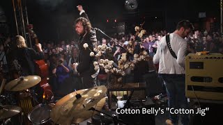 Cotton Belly's - Cotton Jig - Live