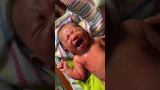 Download lagu Cute baby massaged crying #mashaallah #baby #asmr #cutebaby #newborn #shorts mp3 Download lagu Cute baby massaged crying #mashaallah #baby #asmr #cutebaby #newborn #shorts mp3