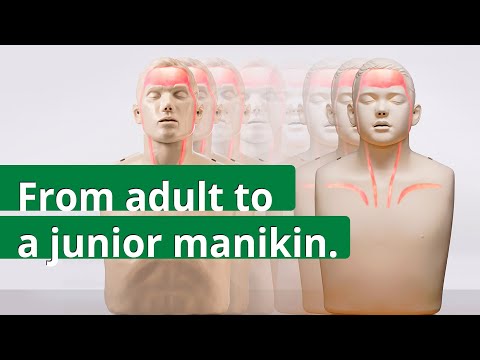 The Brayden Junior Conversion Kit