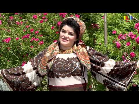 NICOLETA HAFIUC  -  Lume cu păcate