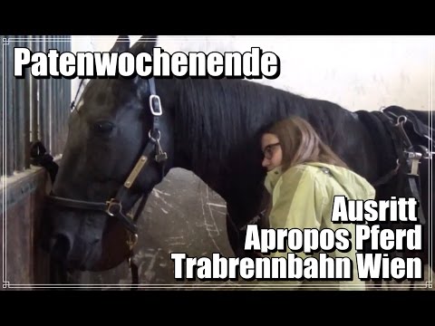 Patenwochenende I Ausritt - Pferdemesse - Trabrennbahn