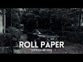 Roll Paper Slowed Reverb Vibey Mood Edit