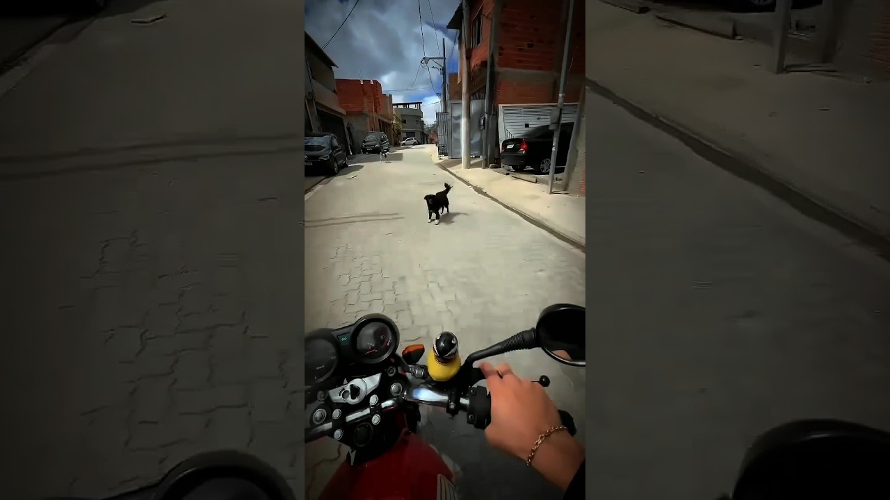 This dude is insane💀 #trollface #edit #viralshorts