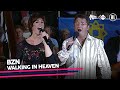 BZN - Walking in heaven • Muziekfeest: de reis van uw leven // Sterren NL