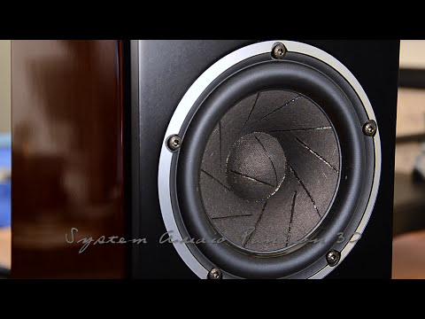 System Audio Pandion 30 • North American Debut @ South Florida's Let There Be Sound!