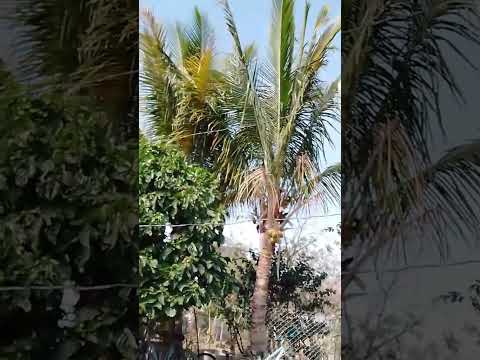 mí bello peñoncito progreso Jutiapa