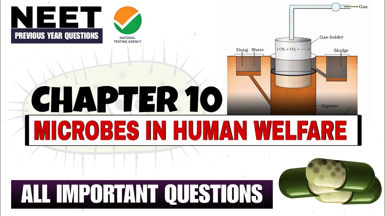 NEET PYQ | CHAPTER 10 MICROBES IN HUMAN WELFARE CLASS 12 #NEET