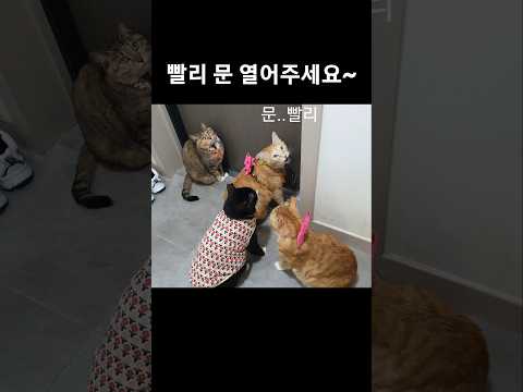 랄랄 랄랄 랄라~랄랄라~오늘도 산책 가자!