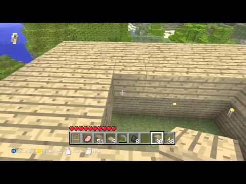 Lets play-minecraft episode 2#
