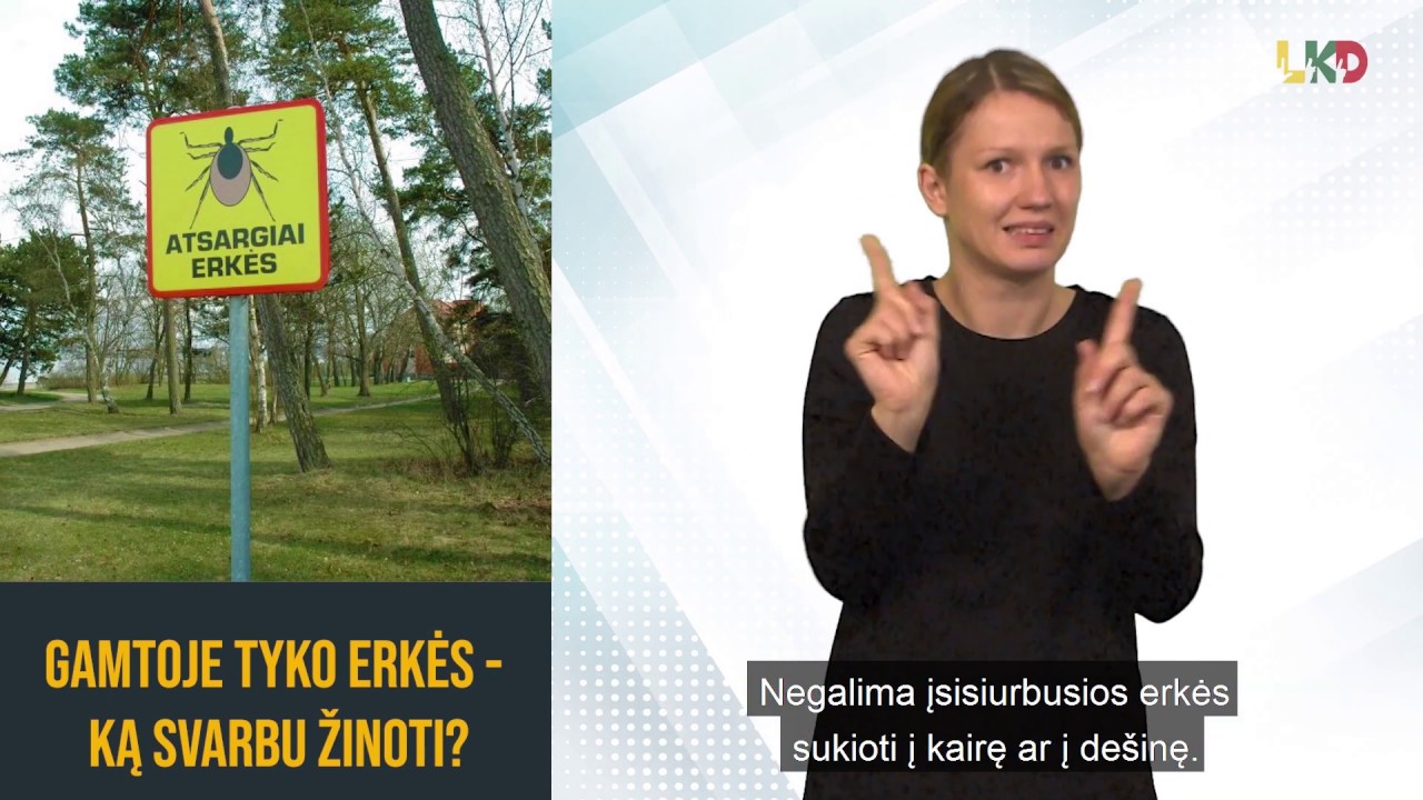 Gamtoje tyko erkės - ką svarbu žinoti?